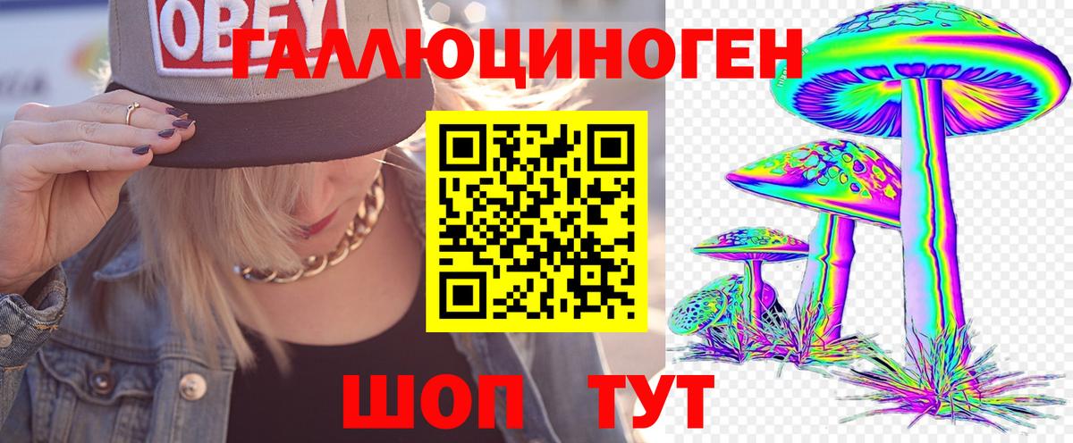 Псилоцибиновые грибы Cubensis  Вход с VPN  Вичуга  Галлюциногенные грибы MAGIC MUSHROOMS 